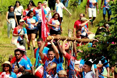 Celebrando Cultura: O Corte do Mastro do Ciclo do Marabaixo no Amapá