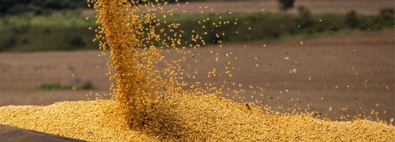 Mato Grosso: Protagonismo no Agronegócio Brasileiro com 15% da Produção Nacional