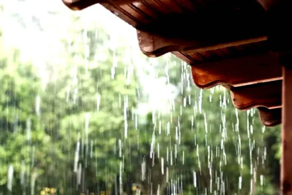 Previsão do Tempo: Pancadas de Chuva e Temperaturas Variadas no Norte do Brasil