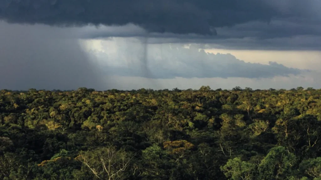 Mudanças Climáticas e Desmatamento Aumentam Sensibilidade do Regime de Chuvas na Amazônia