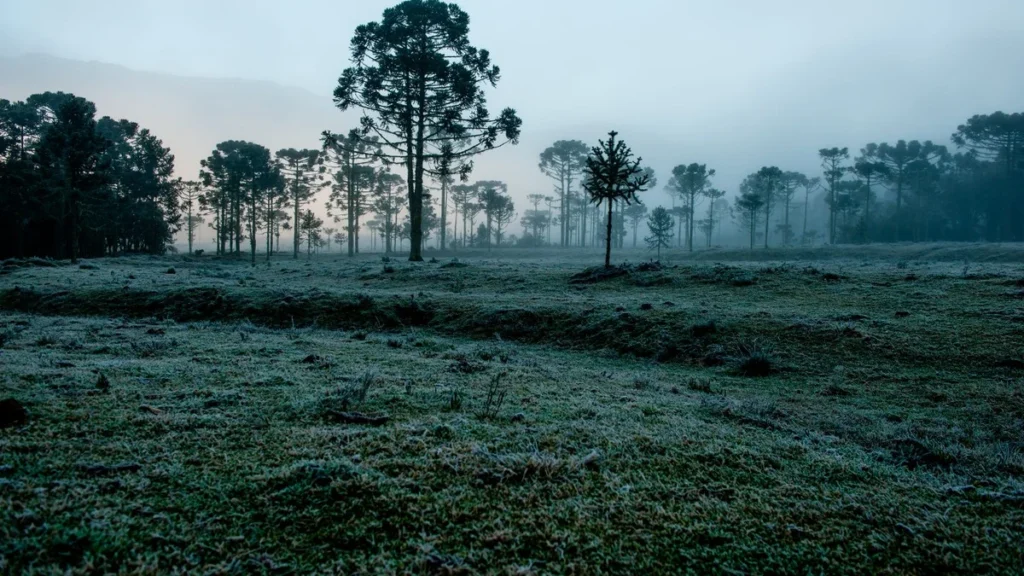 Mais frio e chuva acima da média: confira a previsão do clima no Brasil para julho