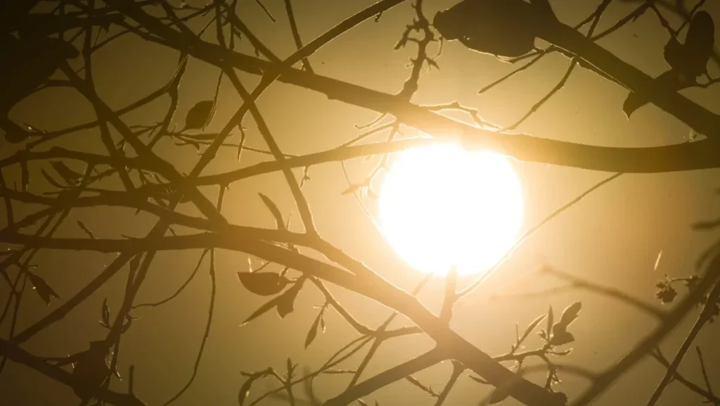 Clima em agosto: alertas de tempestades e baixa umidade impactam o Brasil